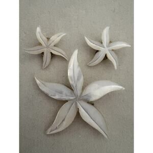 Vtg Mother of Pearl Starfish Brooch Pin Clip On Earrings Matching Set Australian